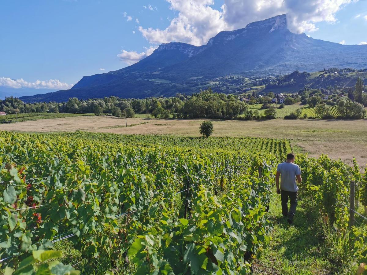 Appartement Le Des Vignes - Domaine Des Granges Longes *